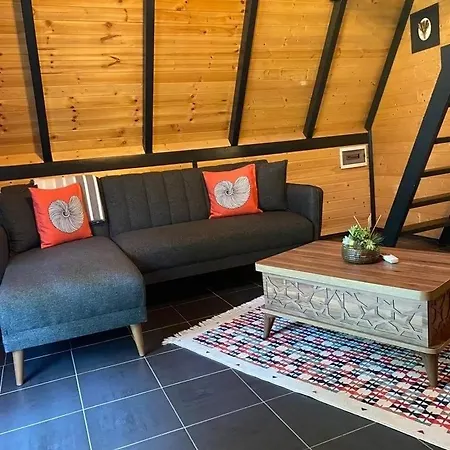 Mk Villa